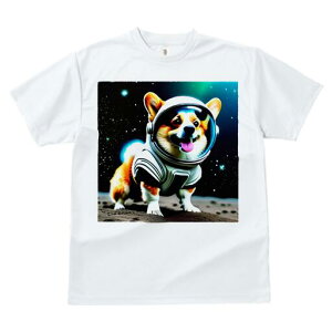 R[M[ TVc fB[X t@  t  vg JWA 킢 lԗp h ̃fUC ʔ F R[M[ F 