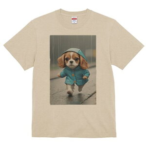 LoA TVc fB[X t@  t  vg JWA 킢 lԗp h ̃fUC ʔ J LoA CR[g