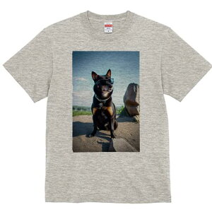 Č TVc fB[X t@  t  vg JWA 킢 lԗp h ̃fUC ʔ TOX Č 