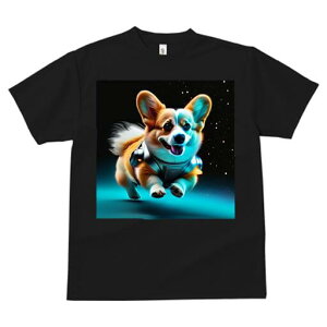 R[M[ TVc fB[X t@  t  vg JWA 킢 lԗp h ̃fUC ʔ F R[M[ Xy[X SF