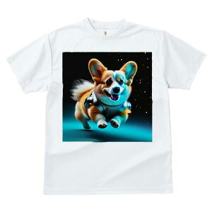 R[M[ TVc fB[X t@  t  vg JWA 킢 lԗp h ̃fUC ʔ F R[M[ Xy[X SF