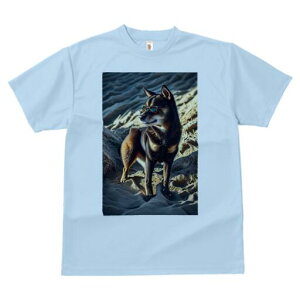 Č TVc fB[X t@  t  vg JWA 킢 lԗp h ̃fUC ʔ TOX Č 