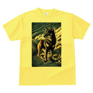 Č TVc fB[X t@  t  vg JWA 킢 lԗp h ̃fUC ʔ TOX Č 