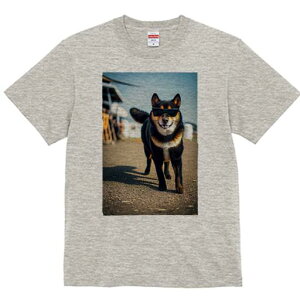 Č TVc fB[X t@  t  vg JWA 킢 lԗp h ̃fUC ʔ TOX Č