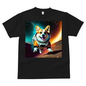 R[M[ TVc fB[X t@  t  vg JWA 킢 lԗp h ̃fUC ʔ F R[M[ F 