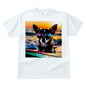 ` TVc fB[X t@  t  vg JWA 킢 lԗp h ̃fUC ʔ TOX ` C [Ă T[t{[h