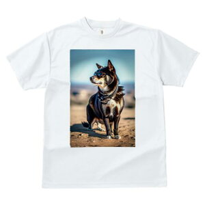 Č TVc fB[X t@  t  vg JWA 킢 lԗp h ̃fUC ʔ TOX Č 