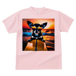 �`���� T�V���c ���f�B�[�X ���t�@�� ���� �t�� ���� �v�����g �J�W���A�� ���킢�� �l�ԗp ���h ���������̃f�U�C�� �ʔ� �T���O���X �`���� �T�[�t�{�[�h �C �[�Ă�