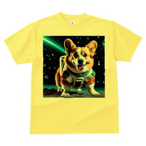 R[M[ TVc fB[X t@  t  vg JWA 킢 lԗp h ̃fUC ʔ F R[M[ F Xy[X