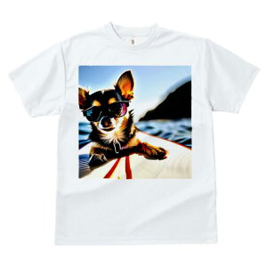 ` TVc fB[X t@  t  vg JWA 킢 lԗp h ̃fUC ʔ TOX ` C T[t{[h