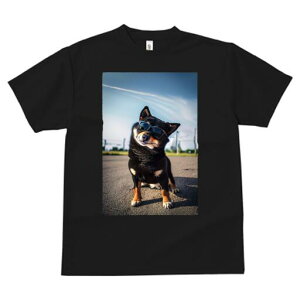 Č TVc fB[X t@  t  vg JWA 킢 lԗp h ̃fUC ʔ TOX Č