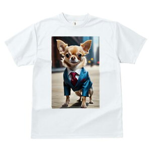 ` TVc fB[X t@  t  vg JWA 킢 lԗp h ̃fUC ʔ X[c ` lN^C