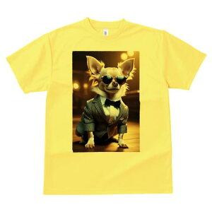 ` TVc fB[X t@  t  vg JWA 킢 lԗp h ̃fUC ʔ X[c ` lN^C TOX