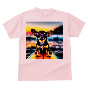 ` TVc fB[X t@  t  vg JWA 킢 lԗp h ̃fUC ʔ TOX ` T[t{[h C [Ă