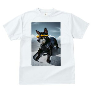 Č TVc fB[X t@  t  vg JWA 킢 lԗp h ̃fUC ʔ TOX Č n[lX  _