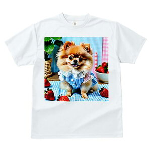 |jA TVc Y LbY t@  t  vg JWA 킢 lԗp h ̃fUC ʔ C`S |jA `FbN A A