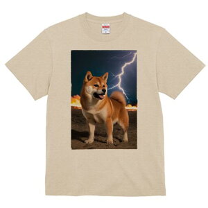 Č TVc fB[X t@  t  vg JWA 킢 lԗp h ̃fUC ʔ  Č  