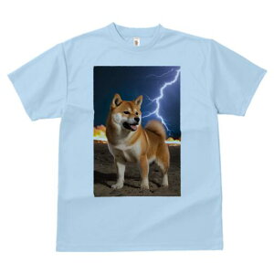 Č TVc fB[X t@  t  vg JWA 킢 lԗp h ̃fUC ʔ  Č  