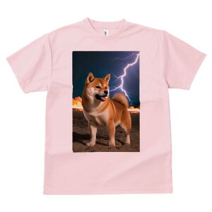 Č TVc fB[X t@  t  vg JWA 킢 lԗp h ̃fUC ʔ  Č  