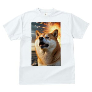 Č TVc fB[X t@  t  vg JWA 킢 lԗp h ̃fUC ʔ  Č