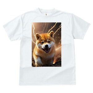 Č TVc fB[X t@  t  vg JWA 킢 lԗp h ̃fUC ʔ  Č 