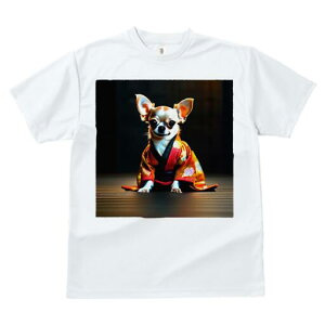 ` TVc fB[X t@  t  vg JWA 킢 lԗp h ̃fUC ʔ  `