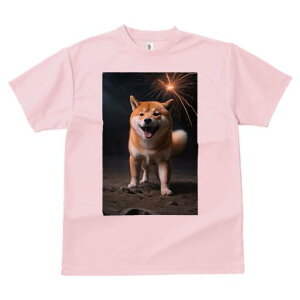 Č TVc fB[X t@  t  vg JWA 킢 lԗp h ̃fUC ʔ ԉ Č