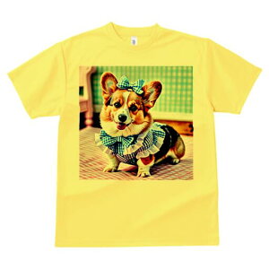 R[M[ TVc fB[X t@  t  vg JWA 킢 lԗp h ̃fUC ʔ { R[M[ MK`FbN