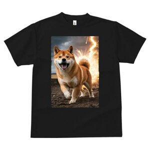 Č TVc fB[X t@  t  vg JWA 킢 lԗp h ̃fUC ʔ Č