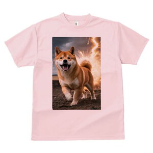 Č TVc fB[X t@  t  vg JWA 킢 lԗp h ̃fUC ʔ Č