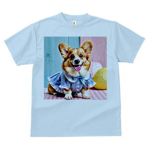 R[M[ TVc fB[X t@  t  vg JWA 킢 lԗp h ̃fUC ʔ  R[M[ MK`FbN s[X {