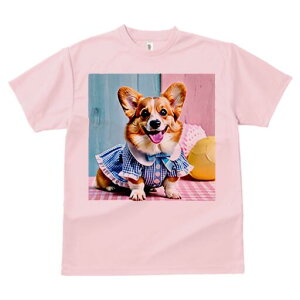 R[M[ TVc fB[X t@  t  vg JWA 킢 lԗp h ̃fUC ʔ  R[M[ MK`FbN s[X {