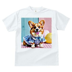 R[M[ TVc fB[X t@  t  vg JWA 킢 lԗp h ̃fUC ʔ  R[M[ MK`FbN s[X {