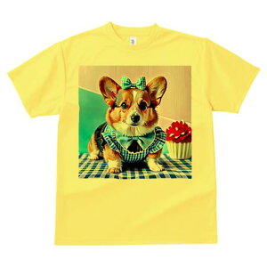 R[M[ TVc fB[X t@  t  vg JWA 킢 lԗp h ̃fUC ʔ { R[M[ JbvP[L `FbN