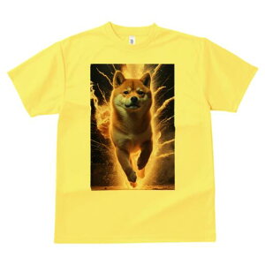 Č TVc fB[X t@  t  vg JWA 킢 lԗp h ̃fUC ʔ  Č Cg