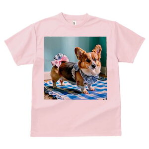 R[M[ TVc fB[X t@  t  vg JWA 킢 lԗp h ̃fUC ʔ { R[M[ `FbN