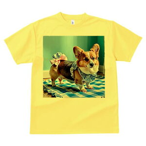 R[M[ TVc fB[X t@  t  vg JWA 킢 lԗp h ̃fUC ʔ { R[M[ `FbN