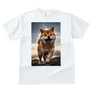 Č TVc fB[X t@  t  vg JWA 킢 lԗp h ̃fUC ʔ  Č  