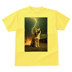 Č TVc fB[X t@  t  vg JWA 킢 lԗp h ̃fUC ʔ  Č   