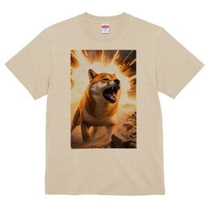 Č TVc fB[X t@  t  vg JWA 킢 lԗp h ̃fUC ʔ  Č   {