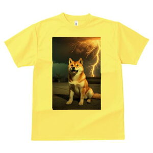 Č TVc fB[X t@  t  vg JWA 킢 lԗp h ̃fUC ʔ  Č  