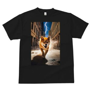 Č TVc fB[X t@  t  vg JWA 킢 lԗp h ̃fUC ʔ  Č X