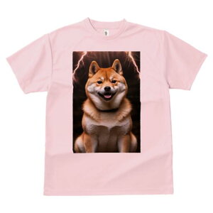 Č TVc fB[X t@  t  vg JWA 킢 lԗp h ̃fUC ʔ  Č