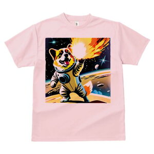 R[M[ TVc fB[X t@  t  vg JWA 킢 lԗp h ̃fUC ʔ F R[M[ F f Xy[X