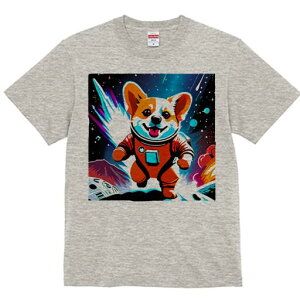 R[M[ TVc fB[X t@  t  vg JWA 킢 lԗp h ̃fUC ʔ F R[M[ F Xy[X