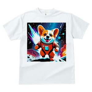 R[M[ TVc fB[X t@  t  vg JWA 킢 lԗp h ̃fUC ʔ F R[M[ F Xy[X