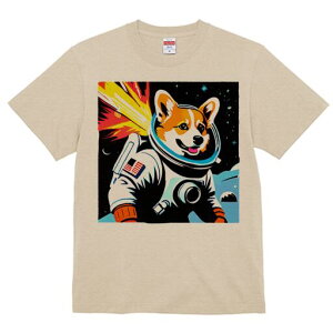 R[M[ TVc fB[X t@  t  vg JWA 킢 lԗp h ̃fUC ʔ F R[M[ F  