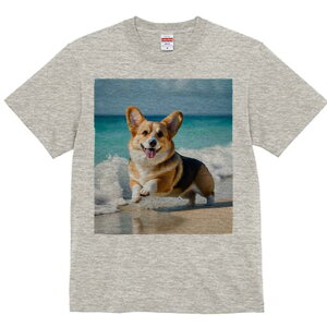 R[M[ TVc fB[X t@  t  vg JWA 킢 lԗp h ̃fUC ʔ C R[M[ g l