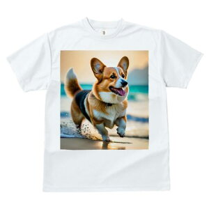 R[M[ TVc fB[X t@  t  vg JWA 킢 lԗp h ̃fUC ʔ r[` R[M[ C g [Ă