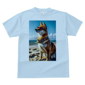 Č TVc fB[X t@  t  vg JWA 킢 lԗp h ̃fUC ʔ TOX Č r[` C